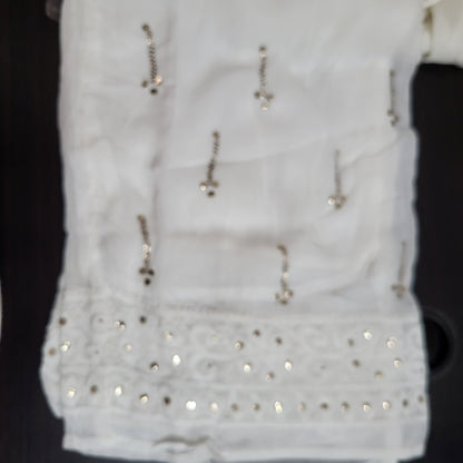 Viscose Georgette Chikankari Straight Palazzo with Badla -Dyeable (White)