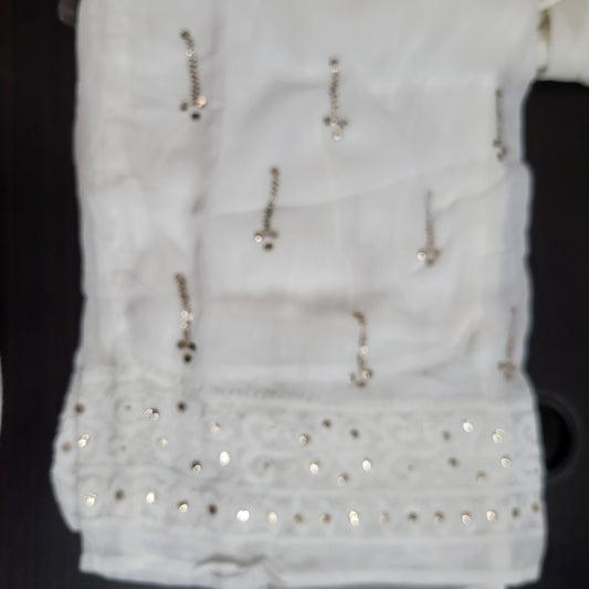 Viscose Georgette Chikankari Straight Palazzo with Badla -Dyeable (White)