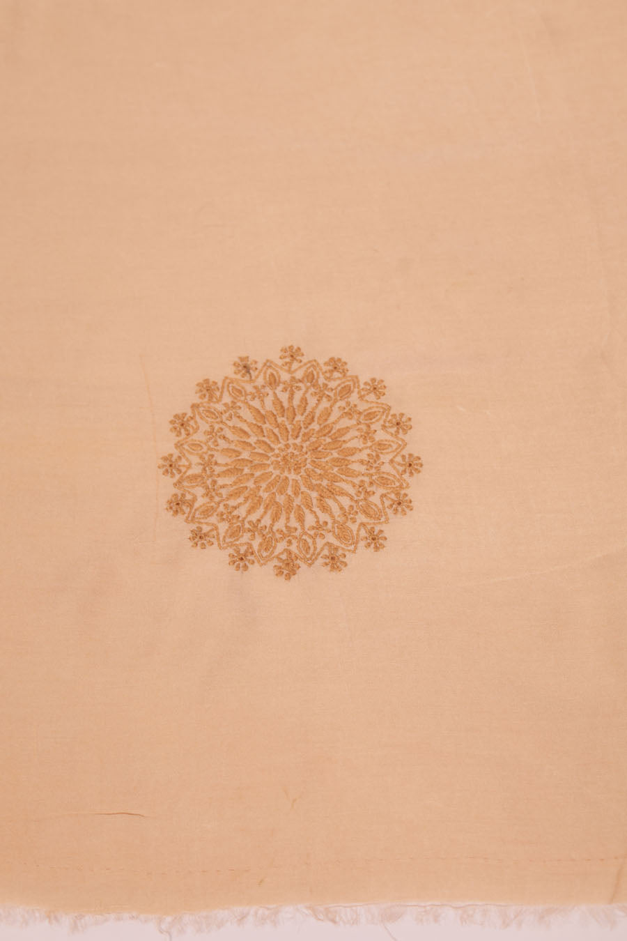 Urvashi | Latte Beige Organza Silk Saree with intricate Chikankari
