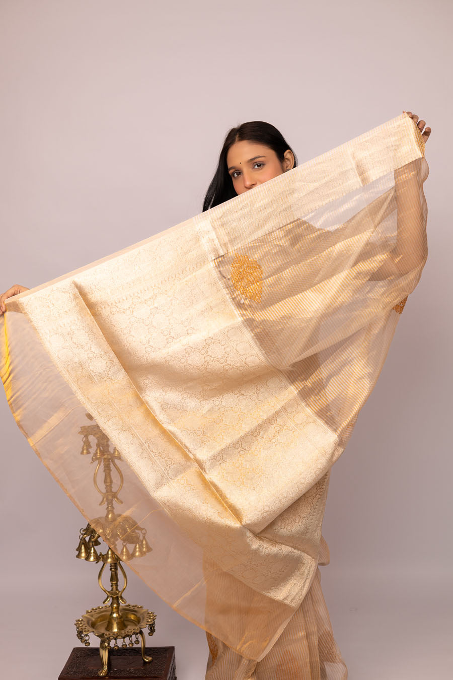 Chitralekha | Heirloom Almond Benarsi Tissue Silk Chikankari Saree