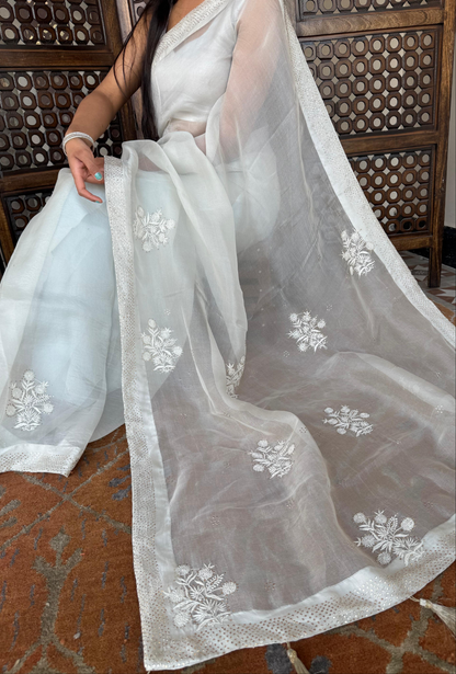 Organza Silk Chikankari Saree ( cloud grey )