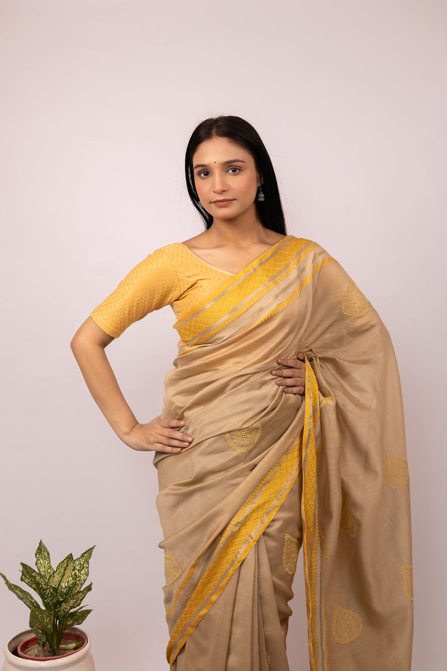 Front view of  Beige Mangalgiri cotton Chikankari Saree with Ochre yellow resham border and Chikankari Embroidery