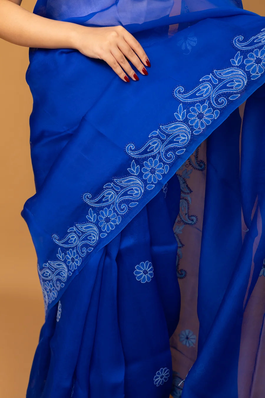 Blue Saree Border Detailed Design