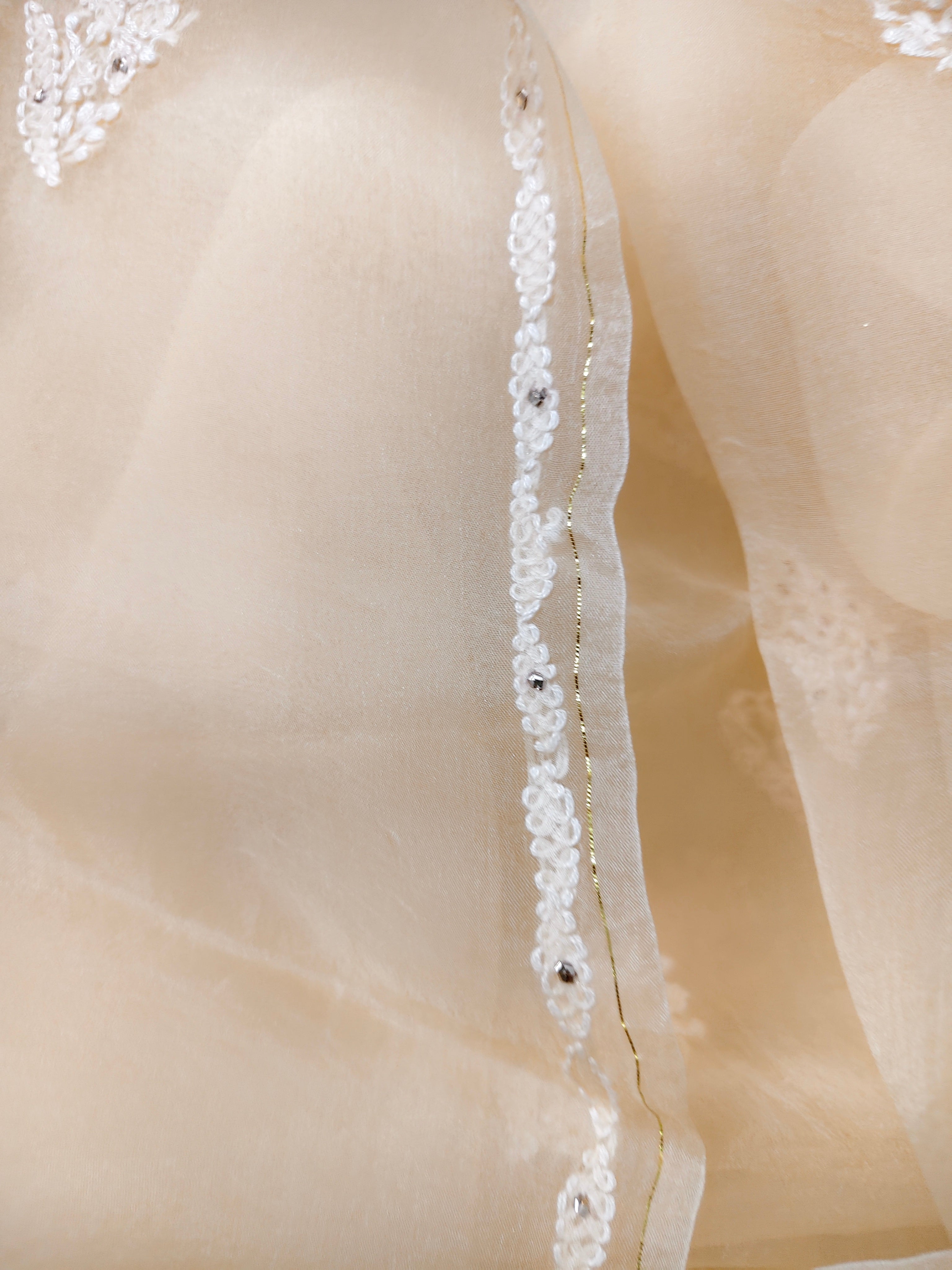 Unstitched Kurta Dupatta Fabric | Pure Organza | Latte Beige
