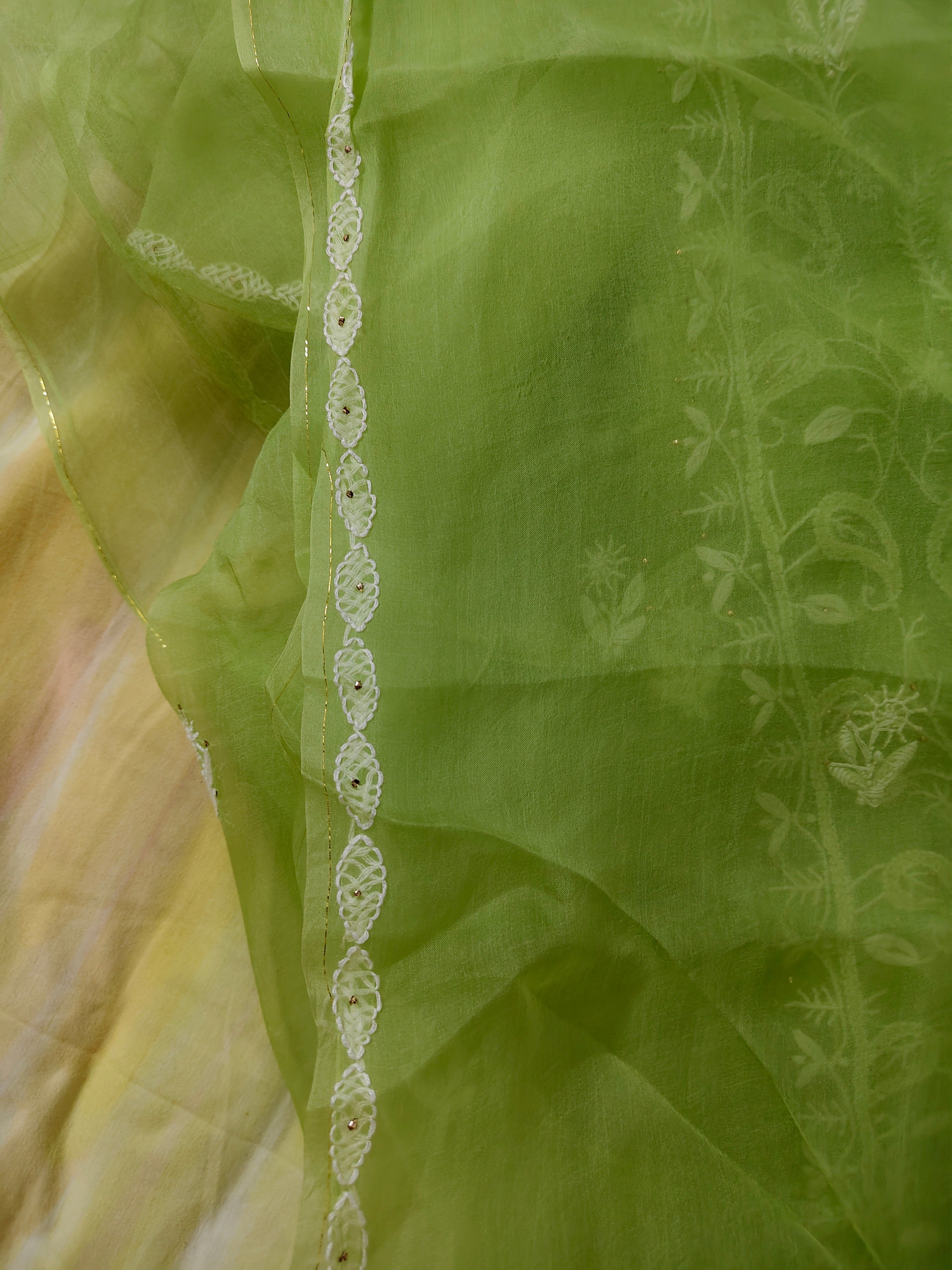 Unstitched Kurta Dupatta Fabric | Pure Organza | Apple Green