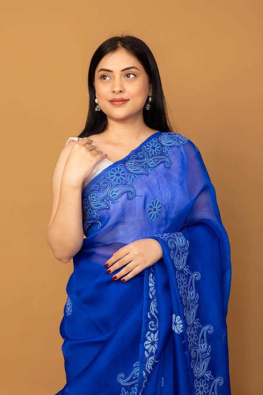 Close-up of Paisley and Floral Embroidery on Blue Saree